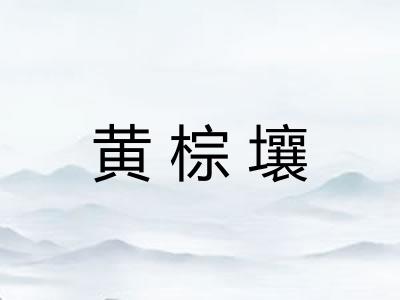 黄棕壤