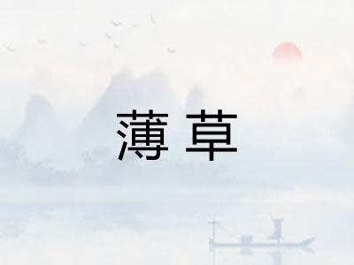 薄草