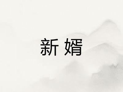 新婿