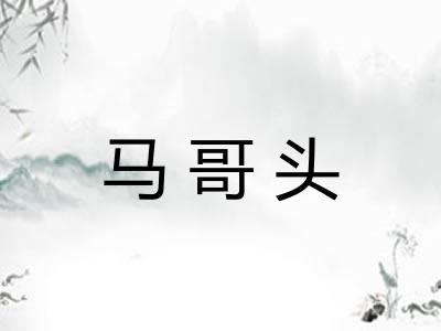 马哥头