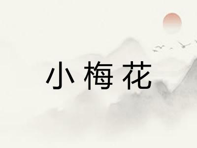 小梅花