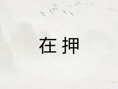 在押