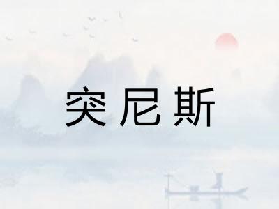 突尼斯