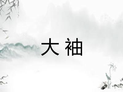 大袖