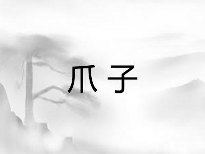爪子