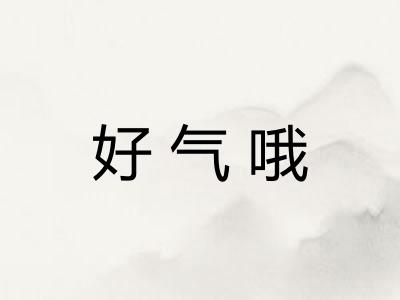 好气哦
