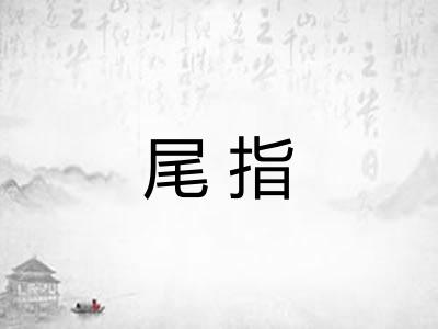尾指