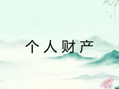 个人财产 个人财产