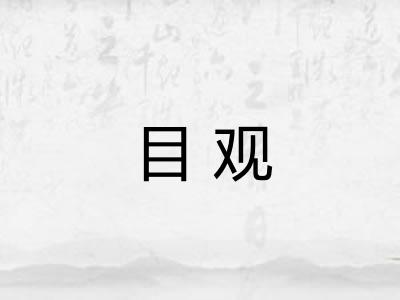 目观