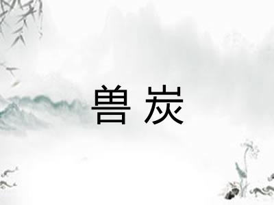兽炭