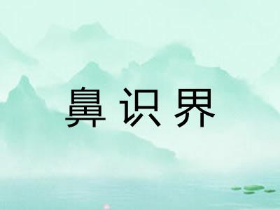 鼻识界