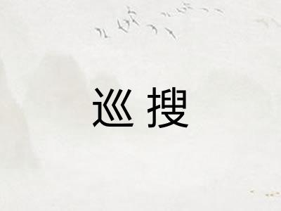 巡搜