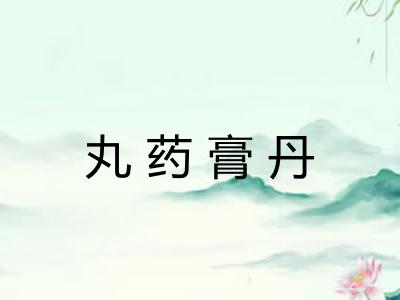 丸药膏丹
