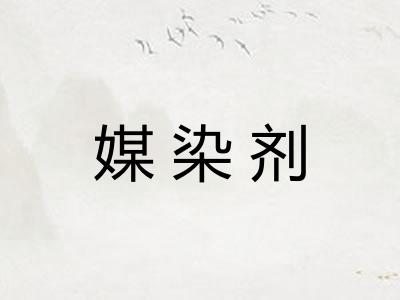 媒染剂