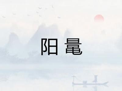 阳鼌