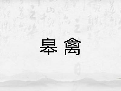 皋禽