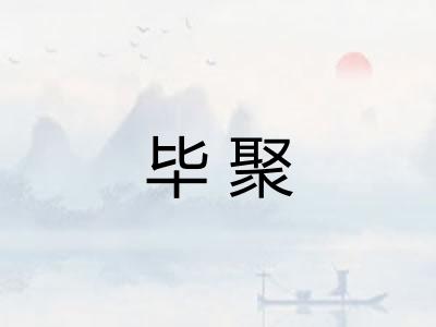 毕聚