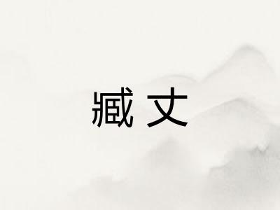 臧丈