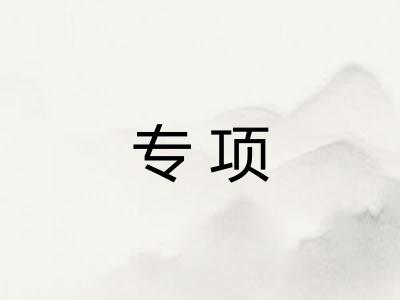 专项