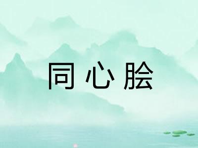 同心脍