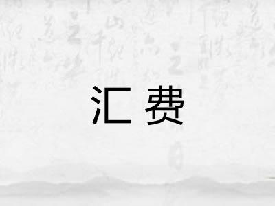 汇费