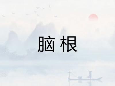 脑根