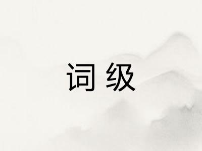 词级