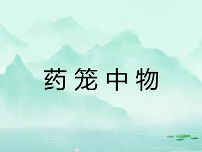 药笼中物