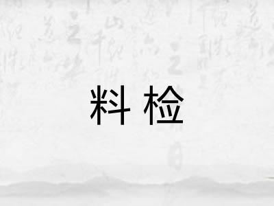 料检