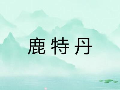 鹿特丹