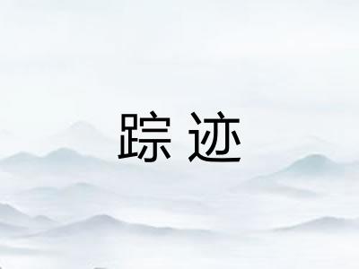 踪迹
