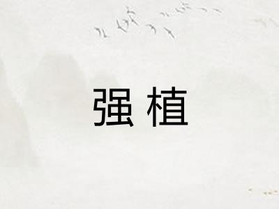 强植