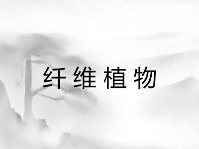 纤维植物