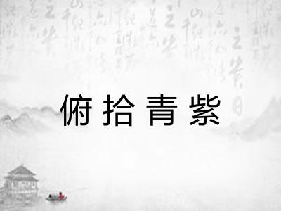 俯拾青紫