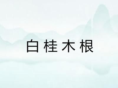 白桂木根