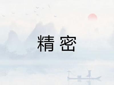 精密