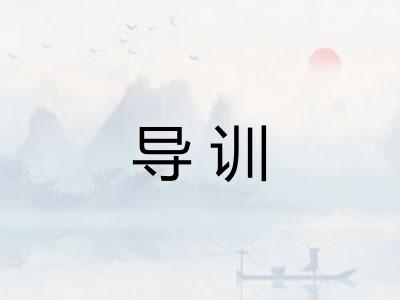 导训