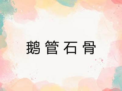 鹅管石骨