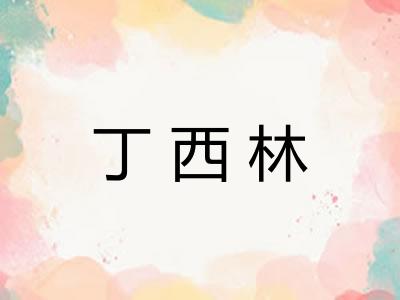 丁西林