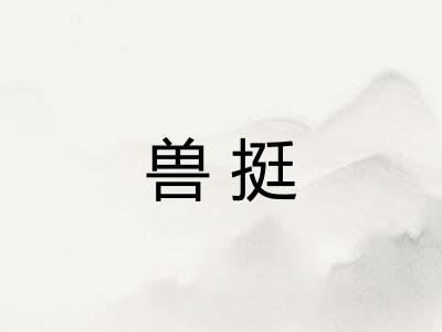 兽挺