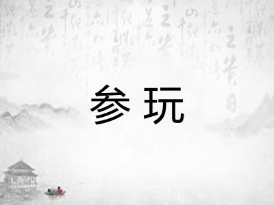 参玩