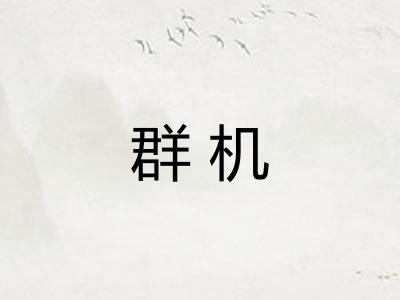 群机