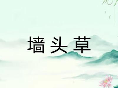 墙头草