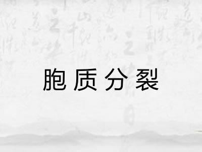 胞质分裂