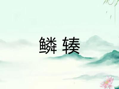 鳞辏