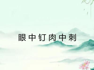 眼中钉肉中刺