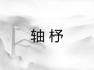 轴杼 轴杼