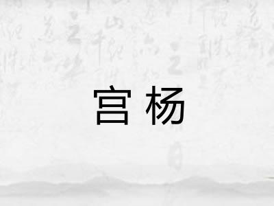 宫杨