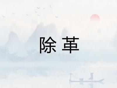 除革