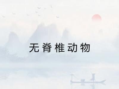 无脊椎动物